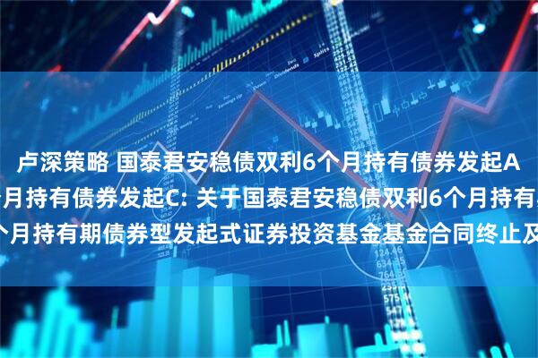 卢深策略 国泰君安稳债双利6个月持有债券发起A,国泰君安稳债双利6个月持有债券发起C: 关于国泰君安稳债双利6个月持有期债券型发起式证券投资基金基金合同终止及基金财产清算的公告